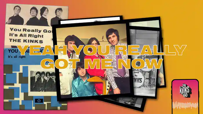 You Really Got Me (Visualiser)