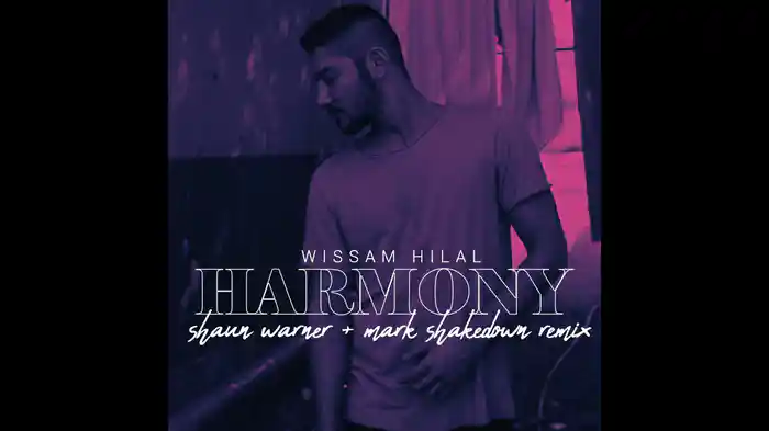 Harmony (Shaun Warner & Mark Shakedown Remix/ Audio)