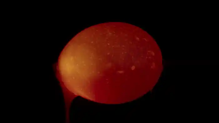 Jenn's on the Way (Visualizer)
