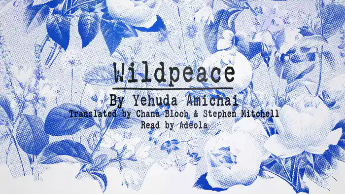 Wildpeace (Lyric Video)