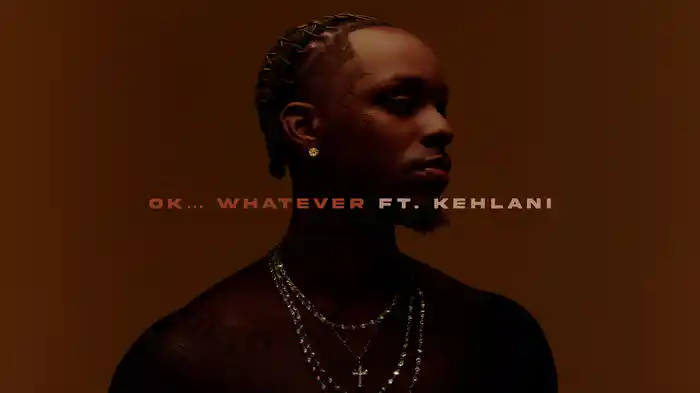 Ok… Whatever (Visualizer)