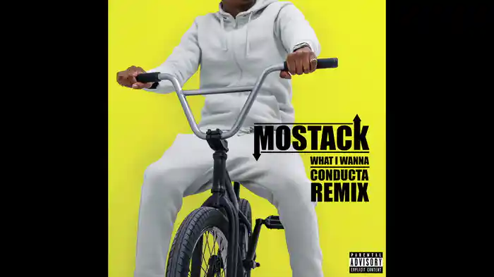 What I Wanna (Conducta Remix / Audio)