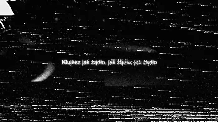 Jak Żądło (Lyric Video)