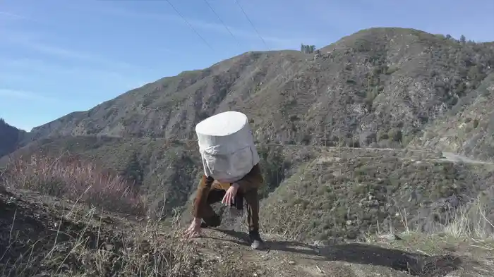 Sisyphus