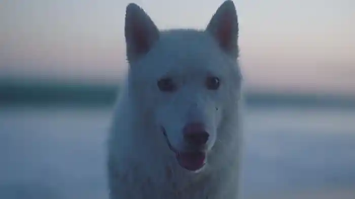 You Don't Have To Be Alone (Music Video)