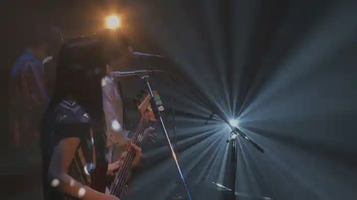 新呼吸 at NIPPON BUDOKAN from 2nd LIVE DVD