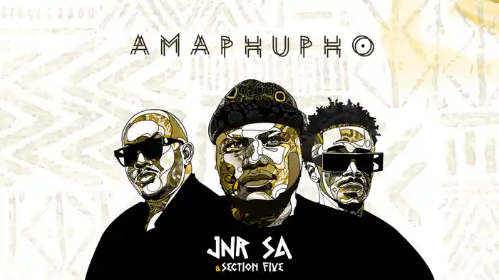 Amaphupho (Visualizer)