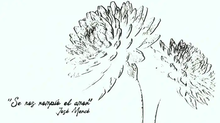 Se Nos Rompió El Amor (Lyric Video)