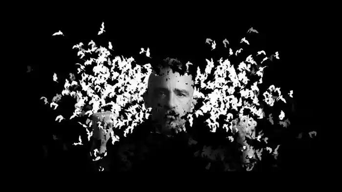 Il Viaggio (Live In Amsterdam, Perfetto Tour 2015/2016)