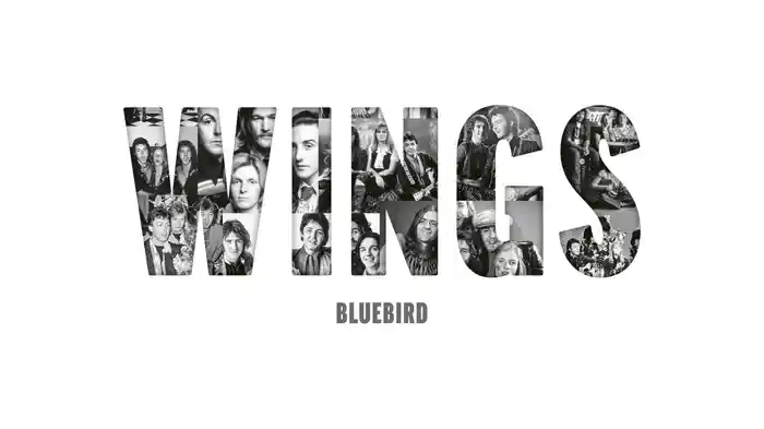 Bluebird (Audio)