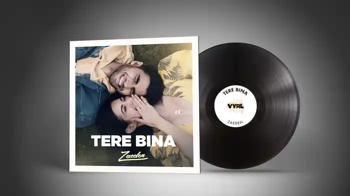 tere bina (Audio)
