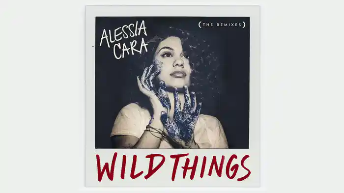 Wild Things (Young Bombs Remix / Audio)