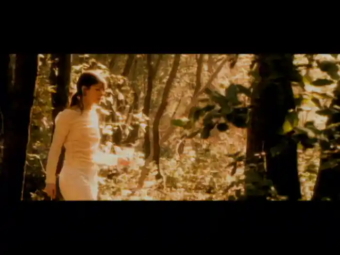 Luce (Tramonti a Nord Est)