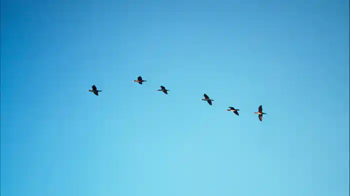 Hätt ich noch einen Tag