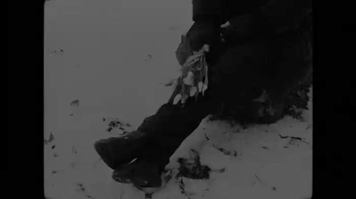 Highlands (Lyric Video)
