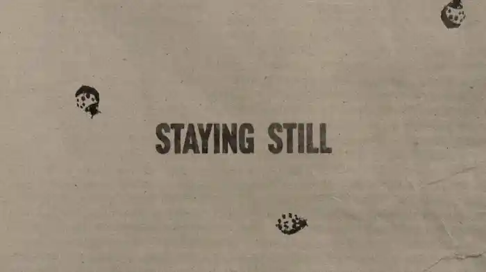 Staying Still (Lyric Video)