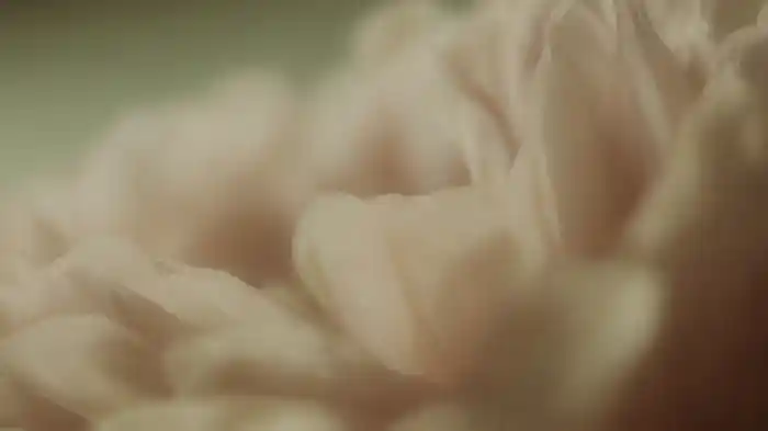 Stay Love (Visualizer)