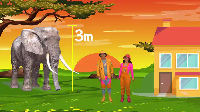 El Leon, el elefante y los animales de la selva | que es ser vegetariano