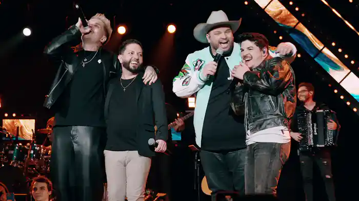 Picuinha (Ao Vivo Em São Paulo / 2024)