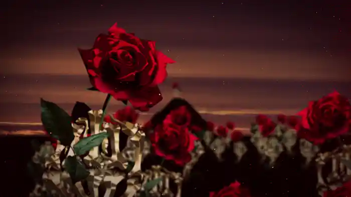 Rose Park (Lyric Video)