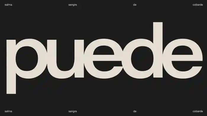 PUEDE SER (Visualizer)