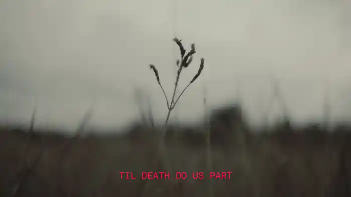 'Til Death Do Us Part (Lyric Video)