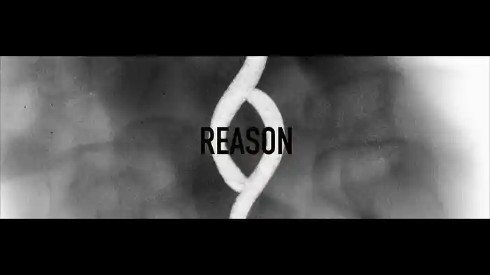 Reason (Audio)