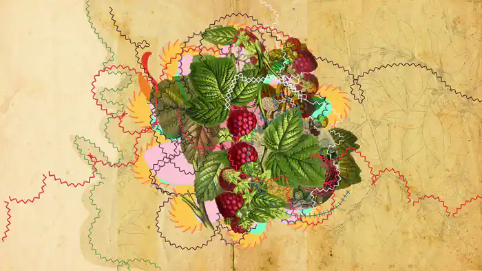 Amor Que Morre (Lyric Video)