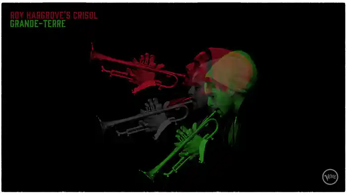 Rumba Roy (Visualizer)