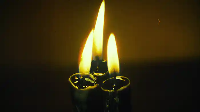 Lágrimas De Miel (Lyric Video)