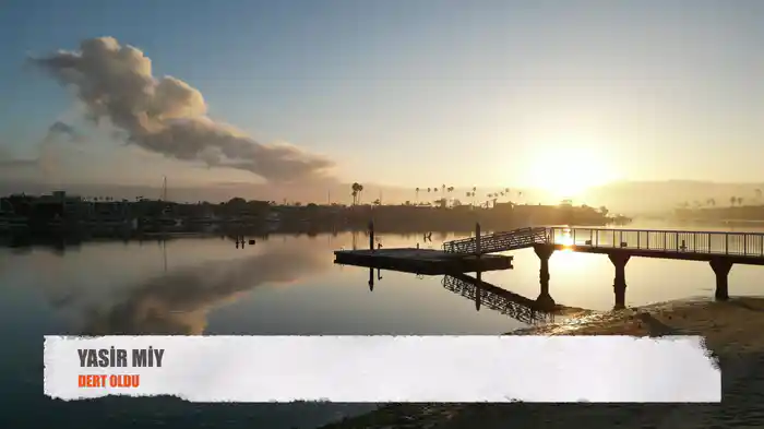 Dert Oldu (Visualiser)