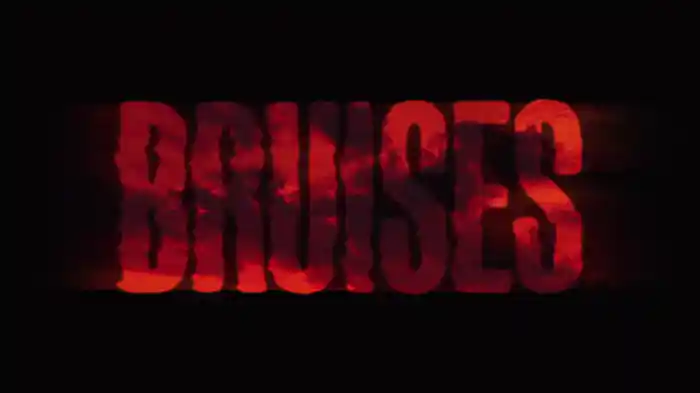Bruises (Lyric Video)
