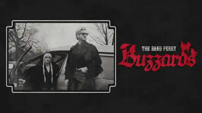Buzzards (Audio)