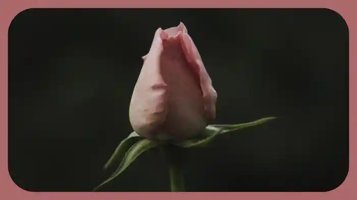花は咲く (ポルトガル語ヴァージョン / Lyric Video)