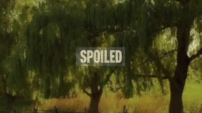 Spoiled (Lyric Video)