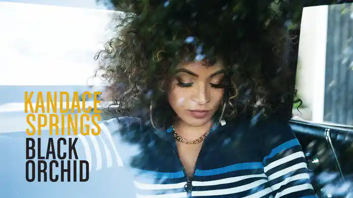 Black Orchid (Audio)