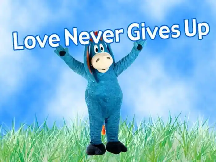 Love Never Gives Up (Live)