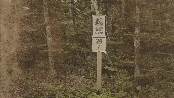 Your Nature (Audio)