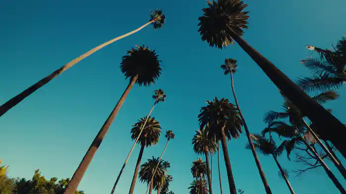 Siehst Du Das Genau So?