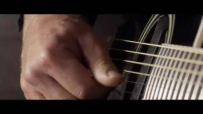 Scars On This Guitar