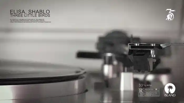 Three Little Birds (Official Audio)