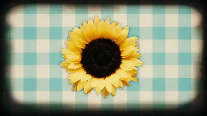 Sunflower (Lyric Video)