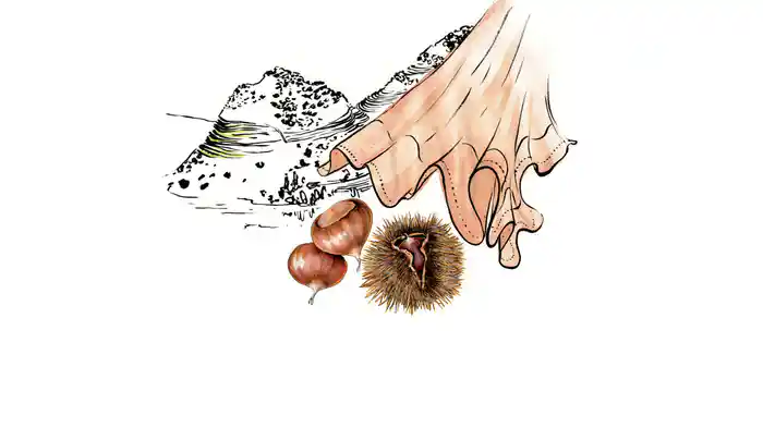 No Alto Daquela Serra (Lyric Video)