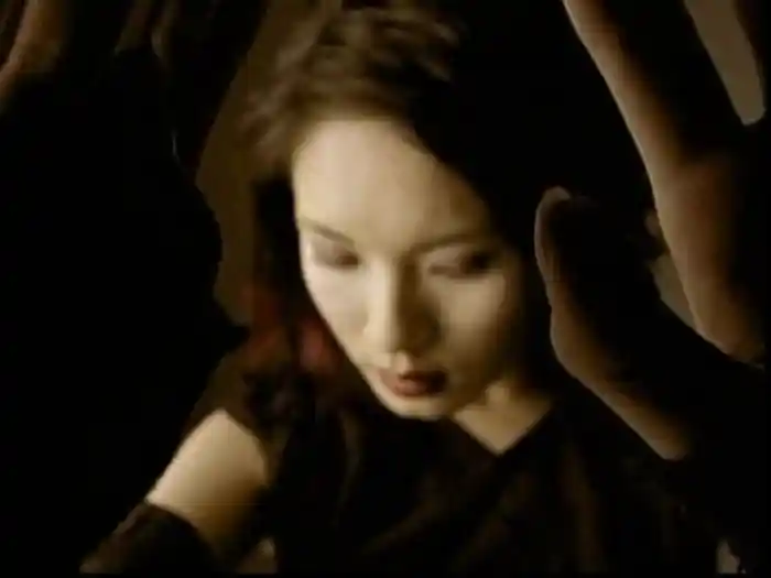 Bu Shang Gan Qing (Karaoke)