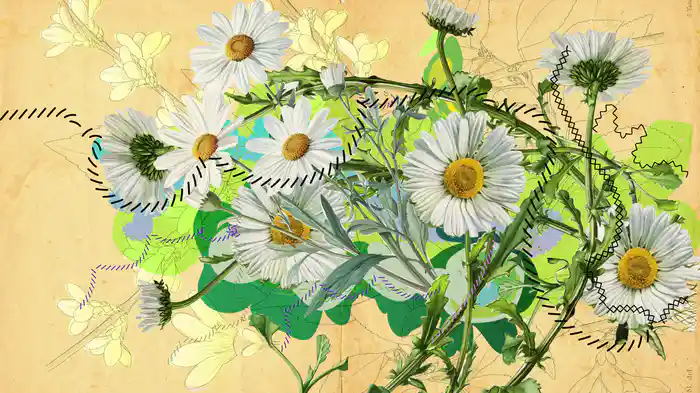 Fanatismo (Lyric Video)