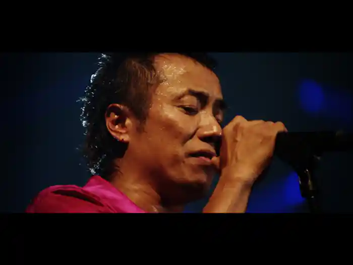 愛おしき死者たち（Stay Alive ARENA TOUR 2012より）