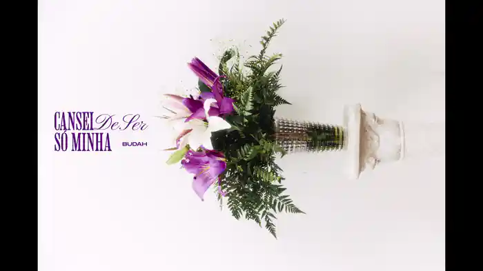 Cansei De Ser Só Minha (Lyric Video)