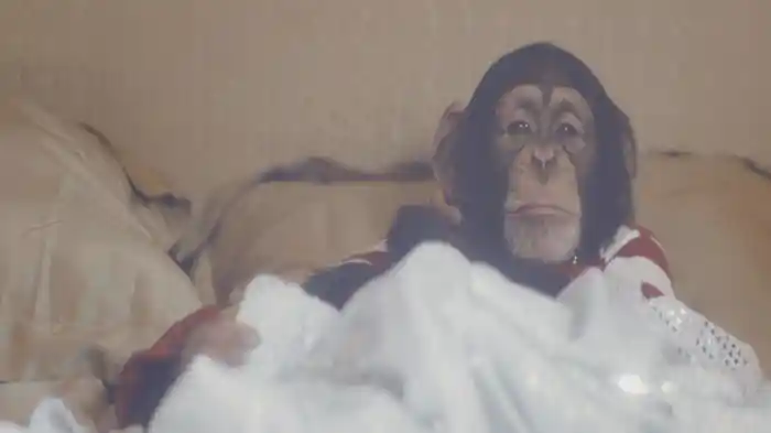 No More Michael Jackson