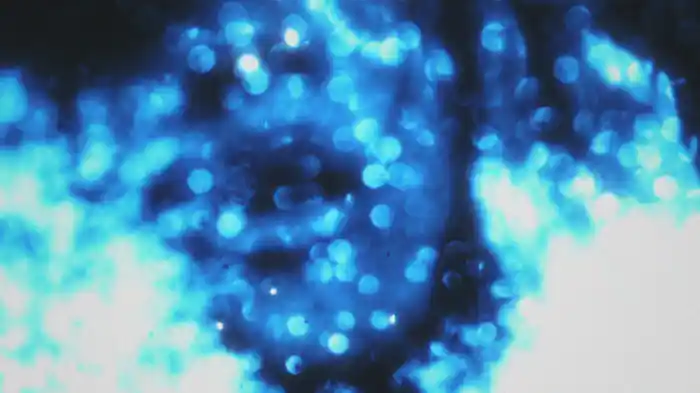 Still (Visualizer)
