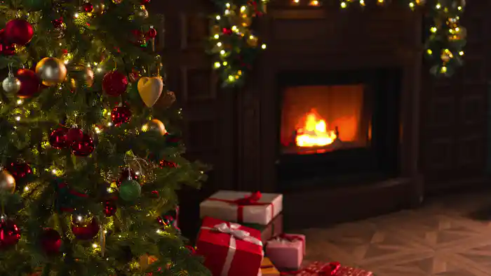 Nollaig na mBan (Visualizer)